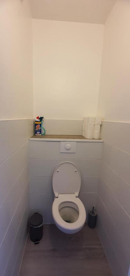 La Marion Apartment Saint Jean de Losne Bagian luar foto