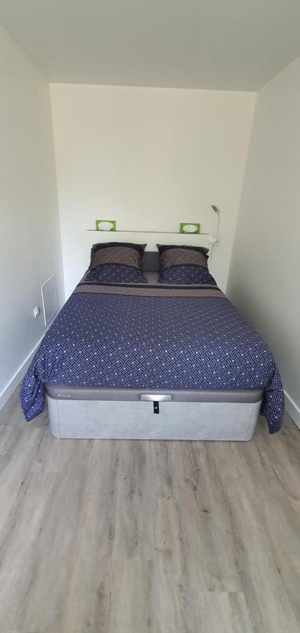 La Marion Apartment Saint Jean de Losne Bagian luar foto